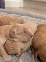 processed/de7600d4-9e85-4460-8336-fd85891b4931/listing/25e0e2d8-cec1-4ef3-aeaa-c774499577de/5d9701eb-6739-4e6b-b42b-9d5701243c07