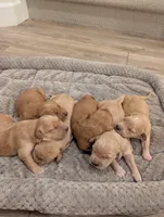 processed/de7600d4-9e85-4460-8336-fd85891b4931/listing/25e0e2d8-cec1-4ef3-aeaa-c774499577de/763085bf-178d-4f32-9bc8-f5a4b13769ed