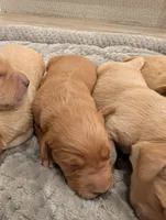 processed/de7600d4-9e85-4460-8336-fd85891b4931/listing/25e0e2d8-cec1-4ef3-aeaa-c774499577de/aa7cf0bf-fc3f-40bc-98e0-5d92456d7c66