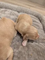 processed/de7600d4-9e85-4460-8336-fd85891b4931/listing/25e0e2d8-cec1-4ef3-aeaa-c774499577de/b72420f7-ccd9-41fd-82e0-e495fc607435