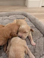 processed/de7600d4-9e85-4460-8336-fd85891b4931/listing/25e0e2d8-cec1-4ef3-aeaa-c774499577de/c10114b5-601e-4f6c-9ddf-a6cf8a79be28