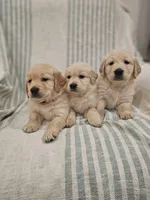 processed/de7600d4-9e85-4460-8336-fd85891b4931/listing/297e8e5a-2a72-4338-82e4-b7e6a274cf69/eed70c73-3e39-49e6-a847-8cff5215eace