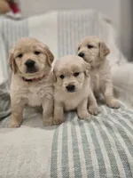 processed/de7600d4-9e85-4460-8336-fd85891b4931/listing/d0fff37f-aff8-405e-aea2-e714a8134c10/13c80098-c056-4bbc-ab27-f6d28378f33f