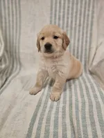 processed/de7600d4-9e85-4460-8336-fd85891b4931/listing/d0fff37f-aff8-405e-aea2-e714a8134c10/16502c7e-2187-4c4a-a9ae-cc29aeb73a33