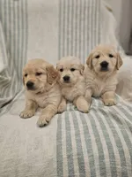 processed/de7600d4-9e85-4460-8336-fd85891b4931/listing/d0fff37f-aff8-405e-aea2-e714a8134c10/4cd550a2-acfb-4b28-8237-889971e60de1