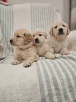 processed/de7600d4-9e85-4460-8336-fd85891b4931/listing/d0fff37f-aff8-405e-aea2-e714a8134c10/9bf43454-2e91-42fc-b3d9-5a1ee527af82