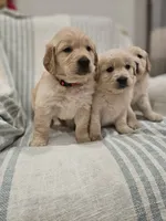 processed/de7600d4-9e85-4460-8336-fd85891b4931/listing/d0fff37f-aff8-405e-aea2-e714a8134c10/eb20e17b-e04e-4320-8341-2bfb5ee95ca7