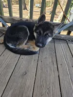 processed/de7b8a79-d816-4880-90eb-b578bbeaf4dc/listing/e74515f4-a28d-4499-8243-539c183669b4/5ef258a2-e3a8-46f7-804e-76e35f18c498