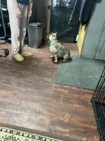 Murphy , a male French Bulldog for sale in Robertsdale, PA – Photo 2 of 3