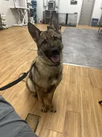 processed/de895117-14b6-4dd0-a410-81cb780c16d9/listing/916d1579-e279-49fd-9327-42177e31868e/27c86190-2b70-4e10-82b6-e5d96d912131