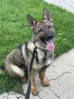 processed/de895117-14b6-4dd0-a410-81cb780c16d9/listing/916d1579-e279-49fd-9327-42177e31868e/63173328-8fe9-43d6-aaf3-adde5149a79e