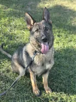 processed/de895117-14b6-4dd0-a410-81cb780c16d9/listing/916d1579-e279-49fd-9327-42177e31868e/85f3c0db-6c76-4efb-8753-970050dd87c6