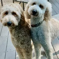 processed/de956ac8-6110-4c88-a72d-9a83a7e5e4b9/facility/0628927a-702b-4329-bcd1-51936a59f93c