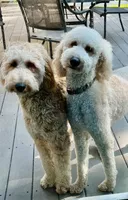 processed/de956ac8-6110-4c88-a72d-9a83a7e5e4b9/facility/0628927a-702b-4329-bcd1-51936a59f93c