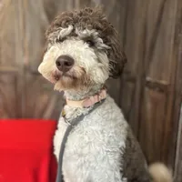 processed/de956ac8-6110-4c88-a72d-9a83a7e5e4b9/facility/17aeb661-d304-4b7f-9586-0adddc96ef2f