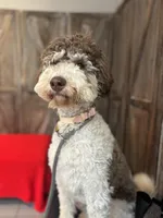 processed/de956ac8-6110-4c88-a72d-9a83a7e5e4b9/facility/17aeb661-d304-4b7f-9586-0adddc96ef2f