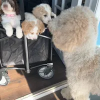 processed/de956ac8-6110-4c88-a72d-9a83a7e5e4b9/facility/37c11bd0-1a14-4256-8d85-86f5598a7786