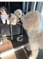 processed/de956ac8-6110-4c88-a72d-9a83a7e5e4b9/facility/37c11bd0-1a14-4256-8d85-86f5598a7786