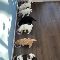 processed/de956ac8-6110-4c88-a72d-9a83a7e5e4b9/facility/407b71da-c134-42d1-8b8a-68c482cefbb8