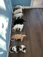 processed/de956ac8-6110-4c88-a72d-9a83a7e5e4b9/facility/407b71da-c134-42d1-8b8a-68c482cefbb8