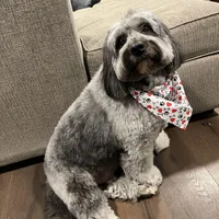 processed/de956ac8-6110-4c88-a72d-9a83a7e5e4b9/facility/75c514ad-a3a3-47b4-89c8-94d6d4b2df98