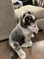 processed/de956ac8-6110-4c88-a72d-9a83a7e5e4b9/facility/75c514ad-a3a3-47b4-89c8-94d6d4b2df98