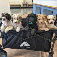 processed/de956ac8-6110-4c88-a72d-9a83a7e5e4b9/facility/90769876-35c3-4c04-9ea2-0057d602a8b3