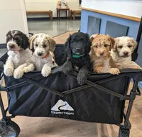 processed/de956ac8-6110-4c88-a72d-9a83a7e5e4b9/facility/90769876-35c3-4c04-9ea2-0057d602a8b3