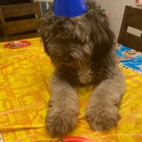 processed/de956ac8-6110-4c88-a72d-9a83a7e5e4b9/facility/99ebfe6b-c1ad-4134-81c4-bf9fa5485378