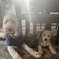 processed/de956ac8-6110-4c88-a72d-9a83a7e5e4b9/facility/c67ae8d0-ef14-4f69-a84e-b10f13001924