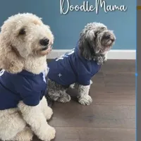 processed/de956ac8-6110-4c88-a72d-9a83a7e5e4b9/facility/d24c3bf3-b4fc-4c1f-a51a-1a459d0d4fa8