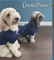 processed/de956ac8-6110-4c88-a72d-9a83a7e5e4b9/facility/d24c3bf3-b4fc-4c1f-a51a-1a459d0d4fa8