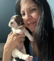 processed/de956ac8-6110-4c88-a72d-9a83a7e5e4b9/facility/f4a4c668-10cc-4961-87c1-de2d5e5d9d3a