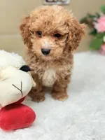 processed/de986e05-9d8e-45e8-a87e-eaa0205fa308/listing/5ae7964b-2db5-4014-a354-8c2a5f452fa3/2874ca4f-a9c9-4378-be75-ae5b4dbc0368