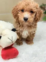 processed/de986e05-9d8e-45e8-a87e-eaa0205fa308/listing/5ae7964b-2db5-4014-a354-8c2a5f452fa3/8a52f329-1145-4137-b443-69bc0ceb5500