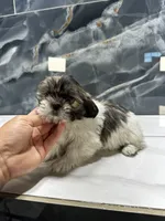 processed/dea22e41-88bd-44bc-8906-abe0cdf4307a/listing/03c9e190-f79d-426e-943e-0fd6db48b8af/23586622-4d2f-4dcc-8672-abc2bf591228