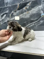 processed/dea22e41-88bd-44bc-8906-abe0cdf4307a/listing/03c9e190-f79d-426e-943e-0fd6db48b8af/31bff855-bd57-4588-a521-953cd7c155c9