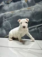 processed/dea22e41-88bd-44bc-8906-abe0cdf4307a/listing/0f6509f8-c4ba-4240-af47-ca79d0ddf227/557b1b18-9897-434e-a54b-1f210764c267