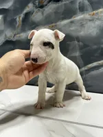 processed/dea22e41-88bd-44bc-8906-abe0cdf4307a/listing/0f6509f8-c4ba-4240-af47-ca79d0ddf227/e9e86247-6cad-4c59-b46f-f4ef52a6641c