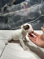 processed/dea22e41-88bd-44bc-8906-abe0cdf4307a/listing/235fca7d-2001-4163-8e69-0364c210dc33/af0a8e10-6b58-4ba8-bb04-4120888ccefb