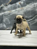 processed/dea22e41-88bd-44bc-8906-abe0cdf4307a/listing/2fac4f7e-83a7-4477-a3d0-2fd6c4ad61d4/05a99bab-2950-482c-8b9e-516fd6c324a4