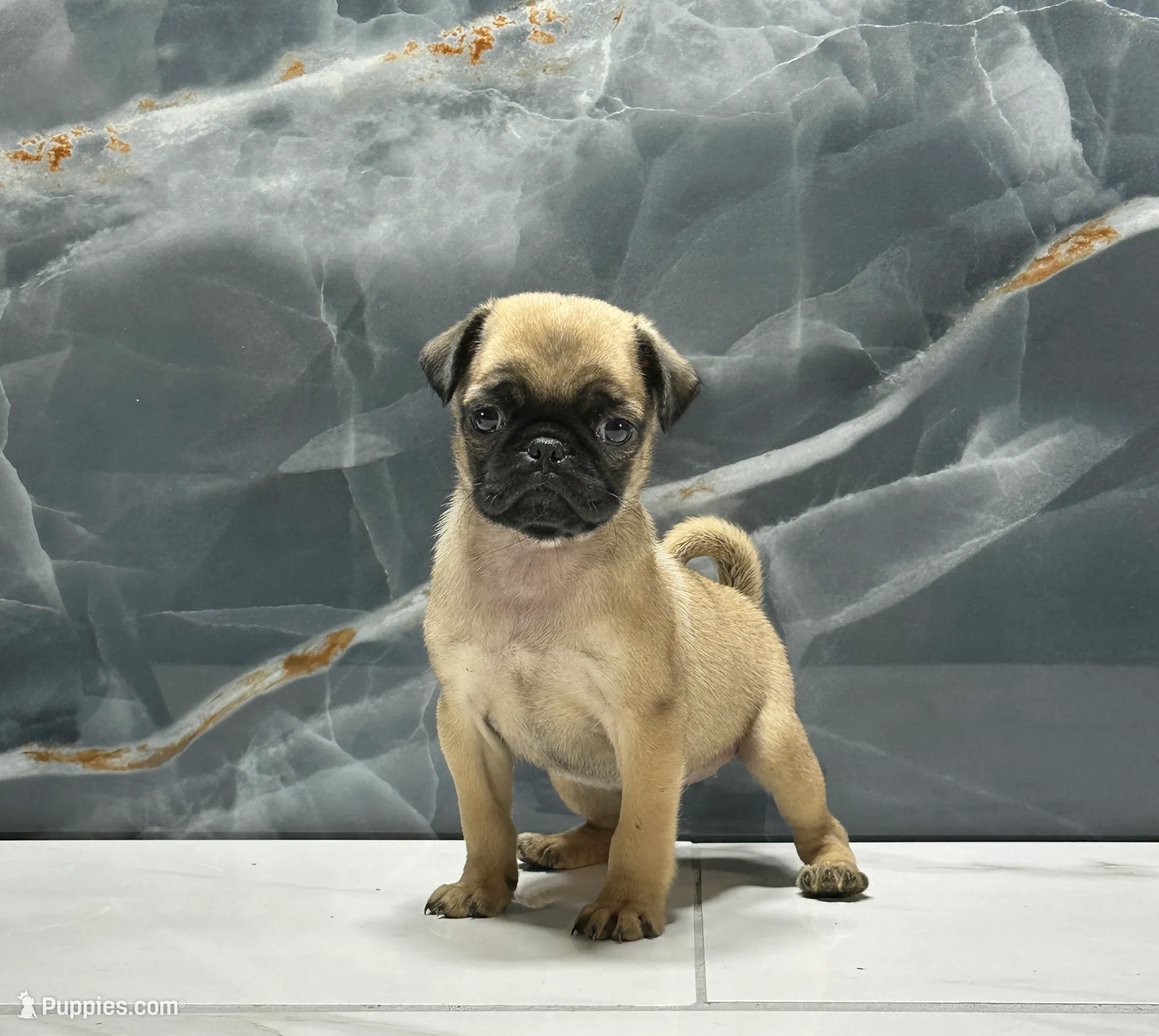 processed/dea22e41-88bd-44bc-8906-abe0cdf4307a/listing/2fac4f7e-83a7-4477-a3d0-2fd6c4ad61d4/0e065d58-1481-4a3d-8aa9-ee14fa7e8c35