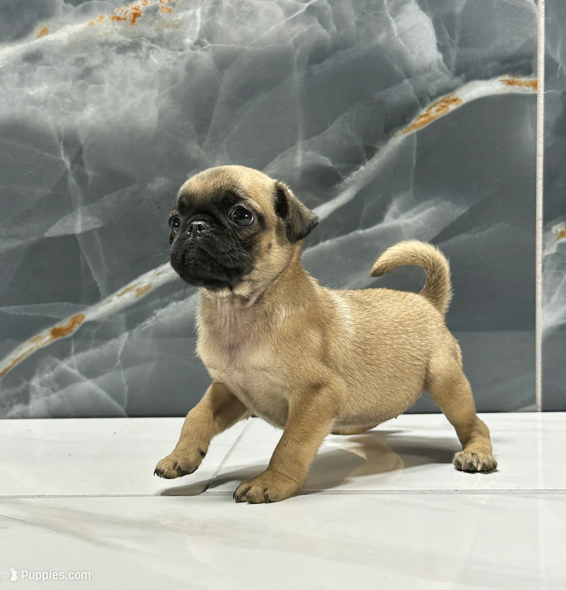 processed/dea22e41-88bd-44bc-8906-abe0cdf4307a/listing/2fac4f7e-83a7-4477-a3d0-2fd6c4ad61d4/2d9177b1-bc30-4f50-86ee-c63dccc3215d