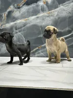 processed/dea22e41-88bd-44bc-8906-abe0cdf4307a/listing/2fac4f7e-83a7-4477-a3d0-2fd6c4ad61d4/66aa0fe0-ab94-4fea-af29-9364deaec563