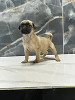 processed/dea22e41-88bd-44bc-8906-abe0cdf4307a/listing/2fac4f7e-83a7-4477-a3d0-2fd6c4ad61d4/7d55063d-8878-472e-bcd1-ee6ffc10d4a3