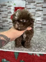 processed/dea22e41-88bd-44bc-8906-abe0cdf4307a/listing/483fe1f1-334f-42fc-a1b7-af8f30974482/12dd75be-c7f4-4ac7-9848-70ed636ae268