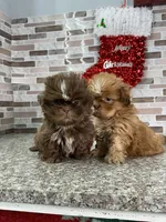 processed/dea22e41-88bd-44bc-8906-abe0cdf4307a/listing/483fe1f1-334f-42fc-a1b7-af8f30974482/2184dd11-638b-4f34-ac01-b68d5ab47d5b