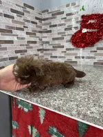 processed/dea22e41-88bd-44bc-8906-abe0cdf4307a/listing/483fe1f1-334f-42fc-a1b7-af8f30974482/6918b1f9-18d7-4366-8cc2-7d490c30e1c5