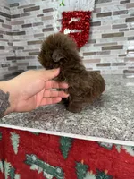 processed/dea22e41-88bd-44bc-8906-abe0cdf4307a/listing/483fe1f1-334f-42fc-a1b7-af8f30974482/8473d9c1-9fa6-4f1c-9c9a-3256f5b5a608