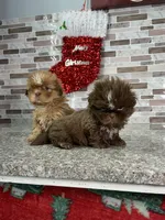 processed/dea22e41-88bd-44bc-8906-abe0cdf4307a/listing/483fe1f1-334f-42fc-a1b7-af8f30974482/884641cf-f778-4630-867d-c8380a50fecf